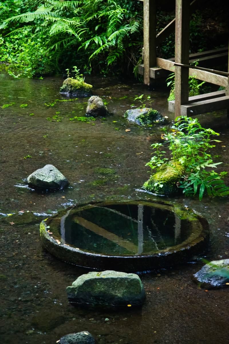 「柿田川湧水群」の写真