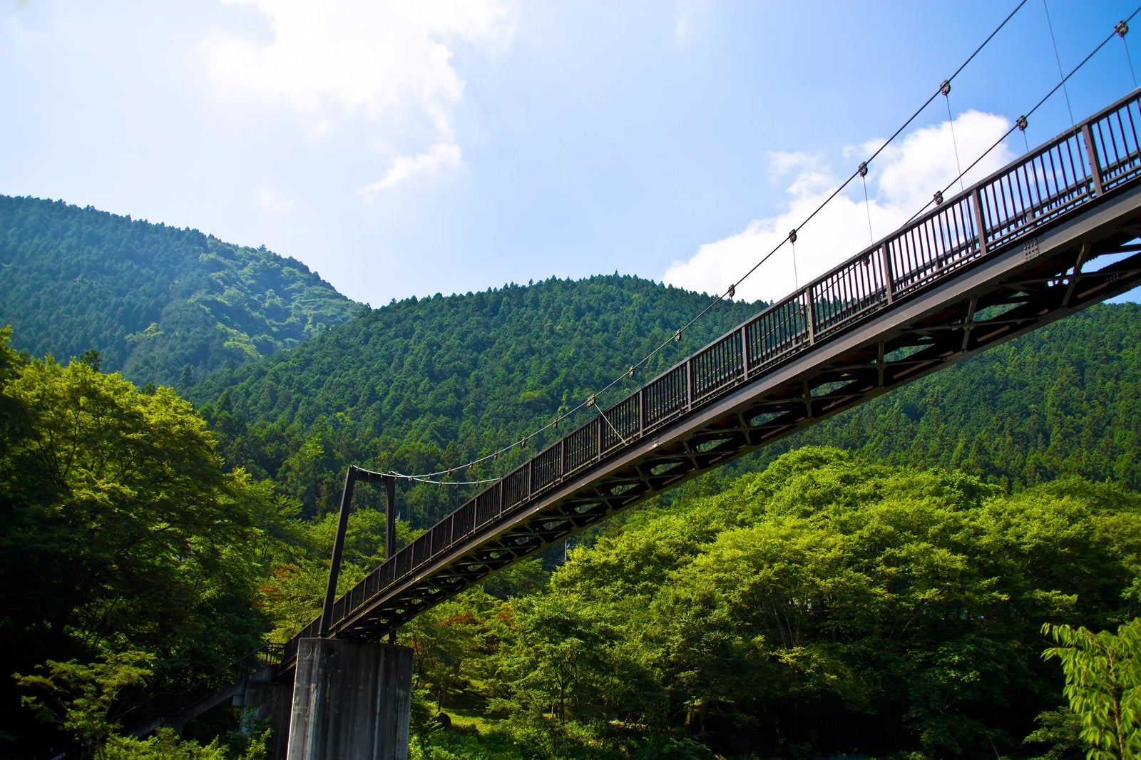 「夏の山と架橋」の写真