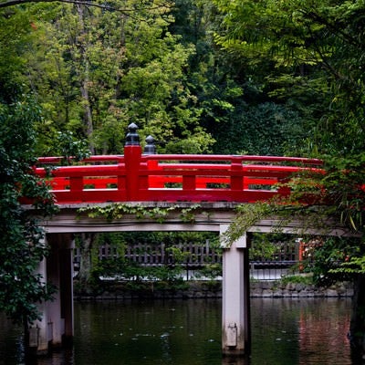 池に架かる紅い橋の写真