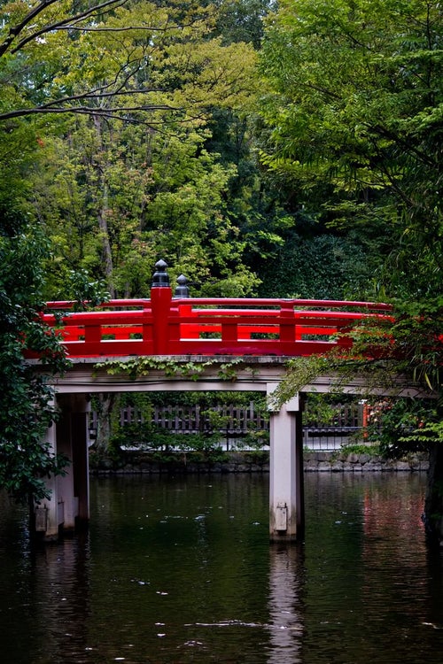 池に架かる紅い橋の写真