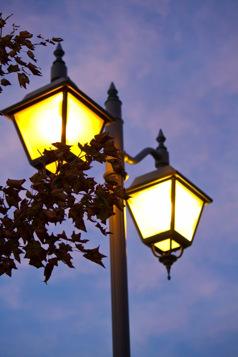 「枯葉とオシャレな街灯」の写真