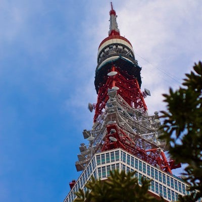 見上げる東京タワーの写真
