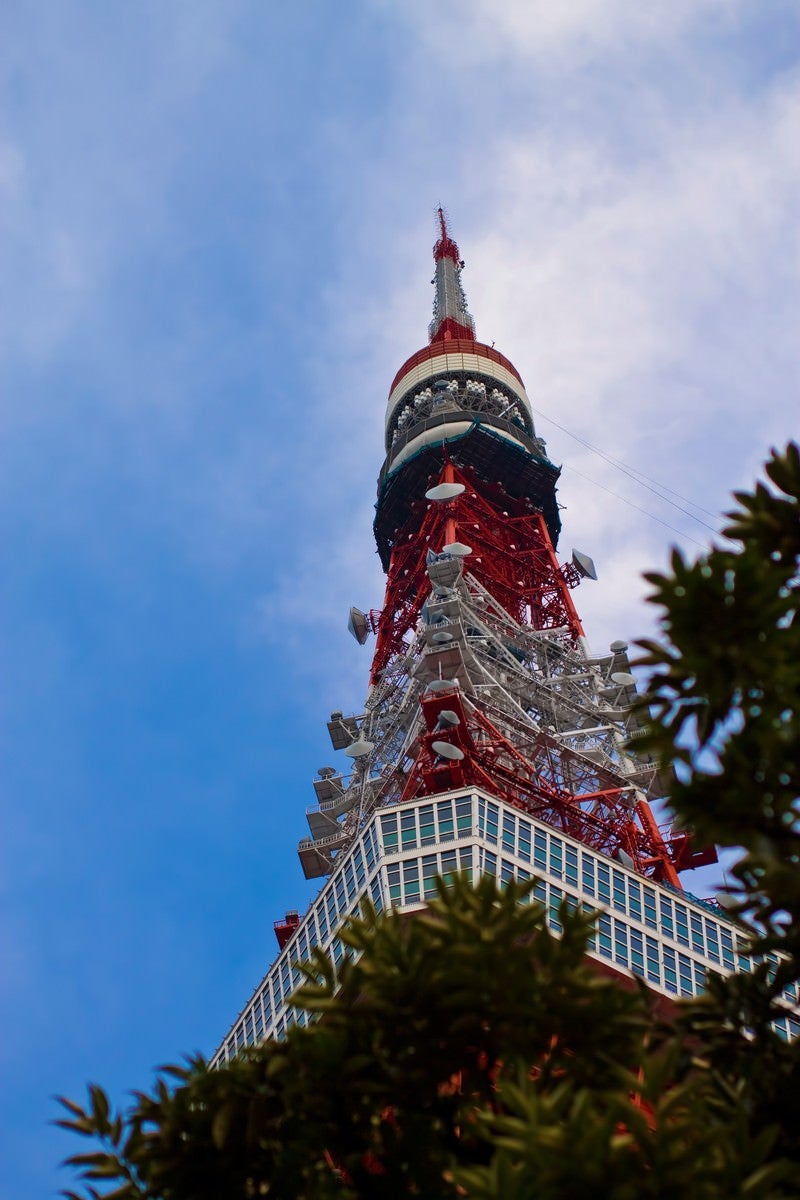 「見上げる東京タワー」の写真