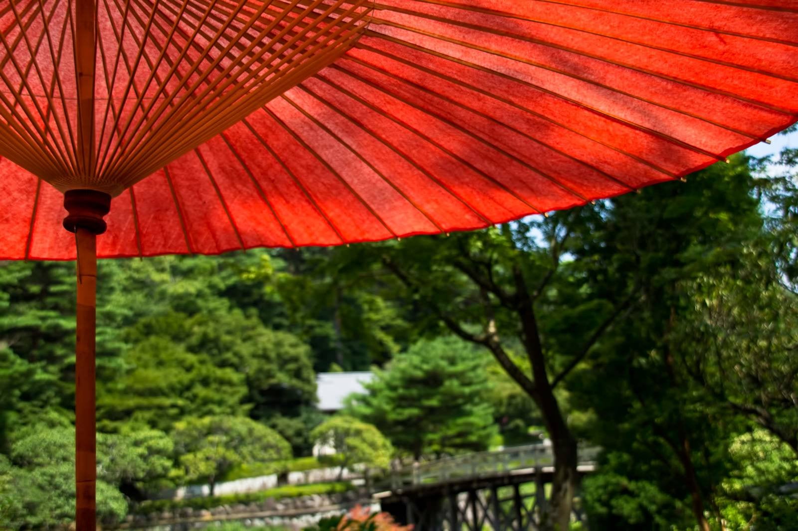 「日本庭園と赤い日傘」の写真