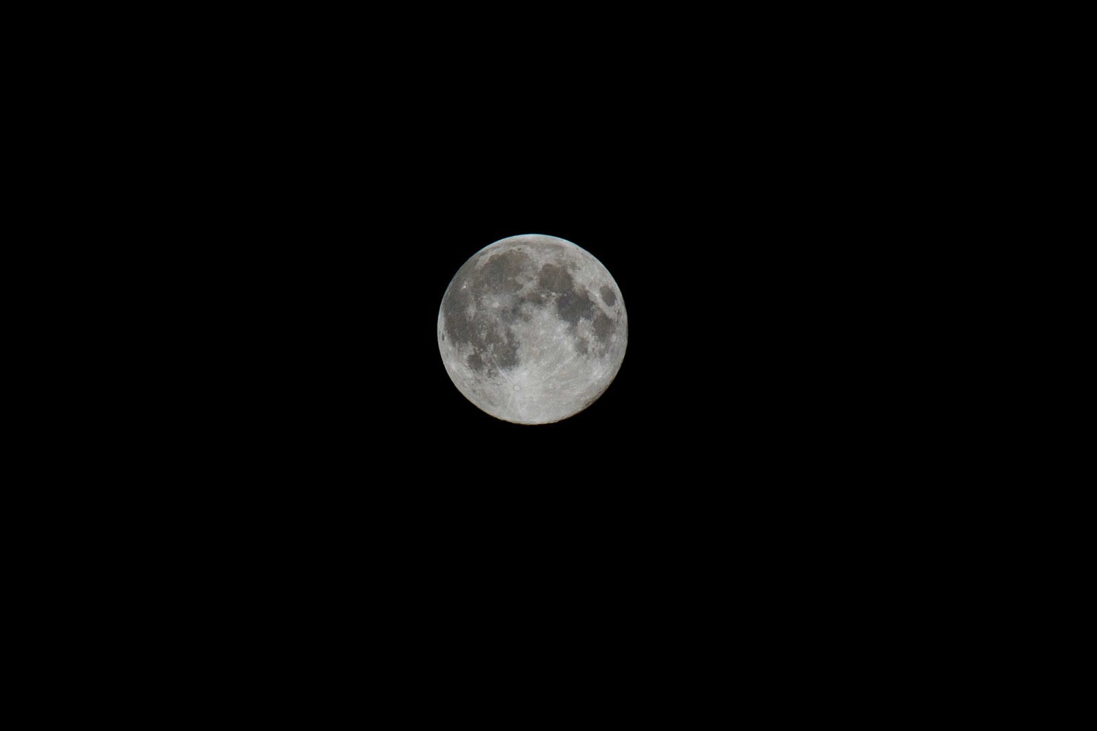 「中秋の名月」の写真