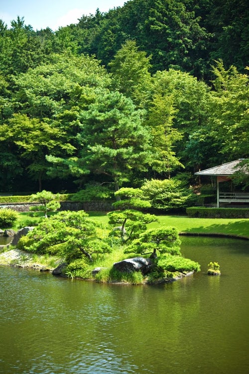 日本庭園の池の写真