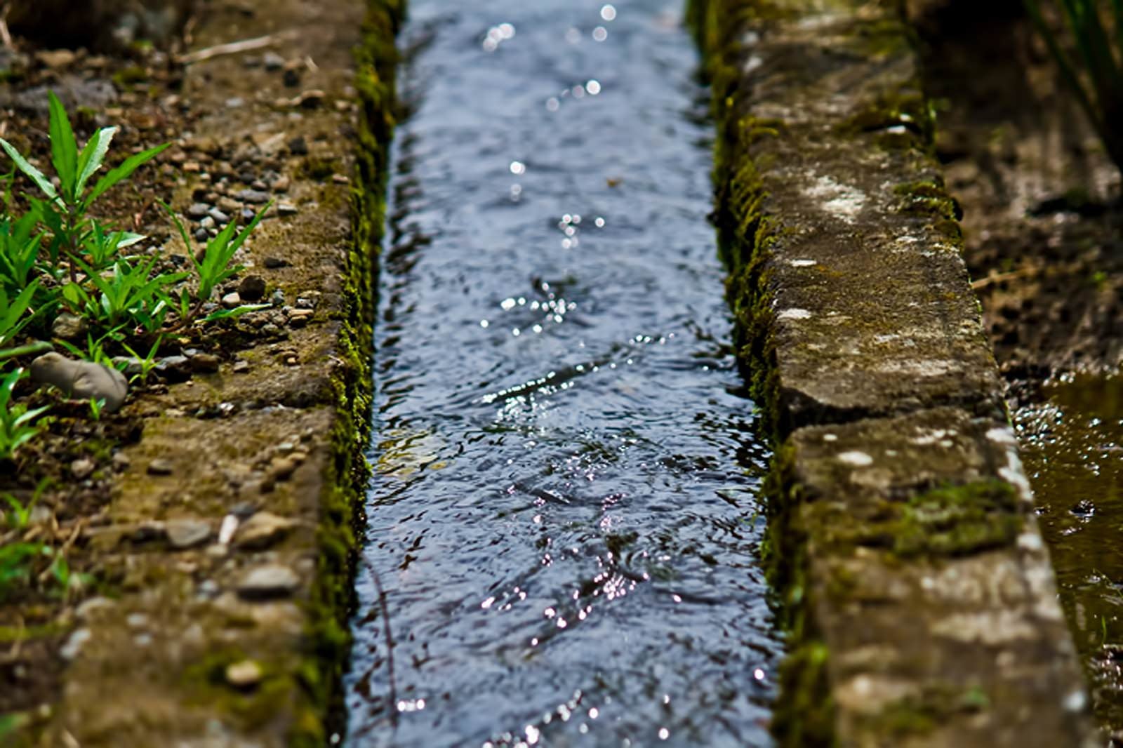 「田舎の用水路」の写真