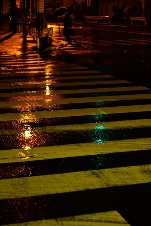 雨に濡れた横断歩道の写真