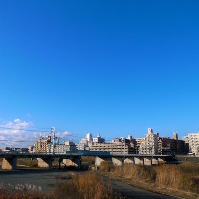 河川敷の街並みと青空の写真
