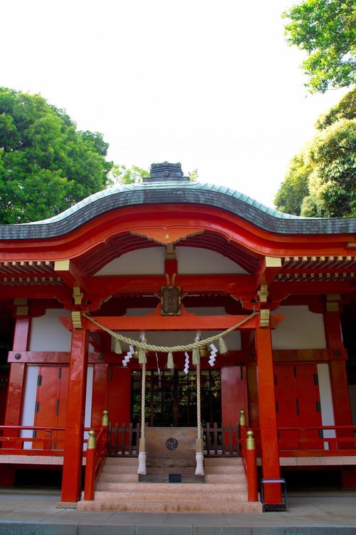 熊野神社の光景の写真