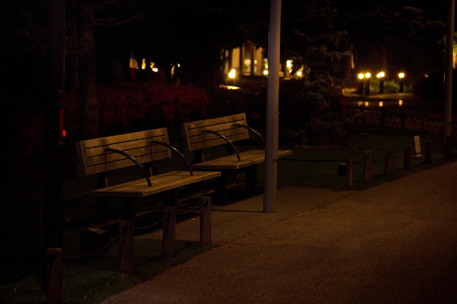 「夜間のベンチ」の写真