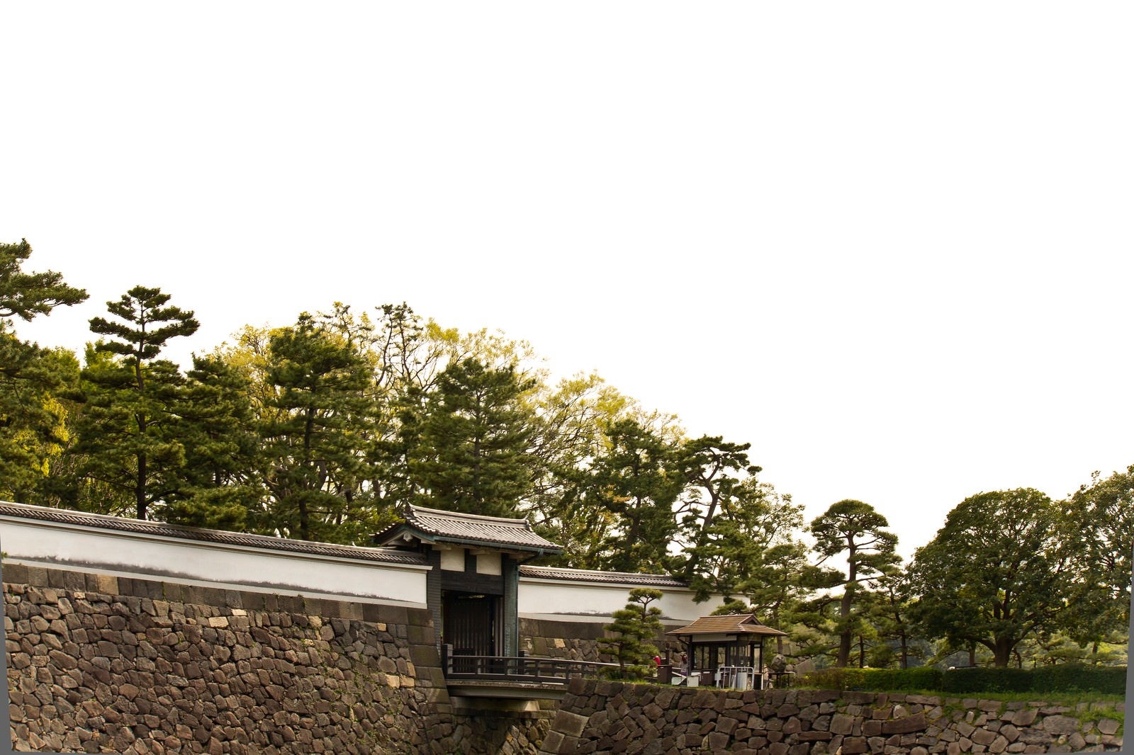 「皇居のお堀と松」の写真