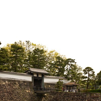 皇居のお堀と松の写真