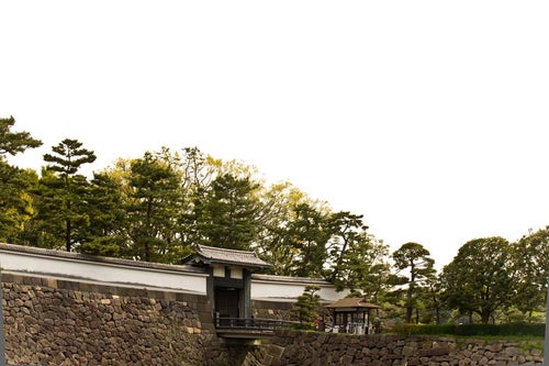 皇居のお堀と松の写真