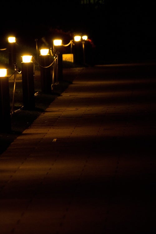 夜道を照らす灯りの写真