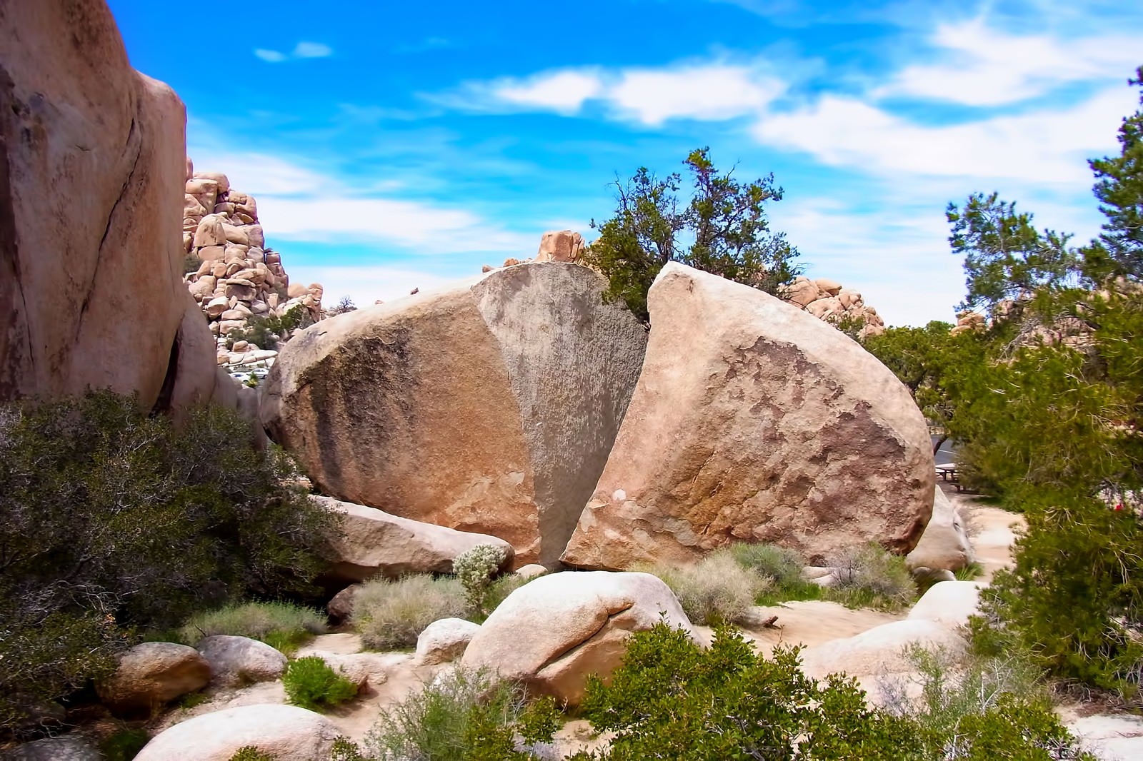 「ジョシュア・ツリー国立公園の岩」の写真