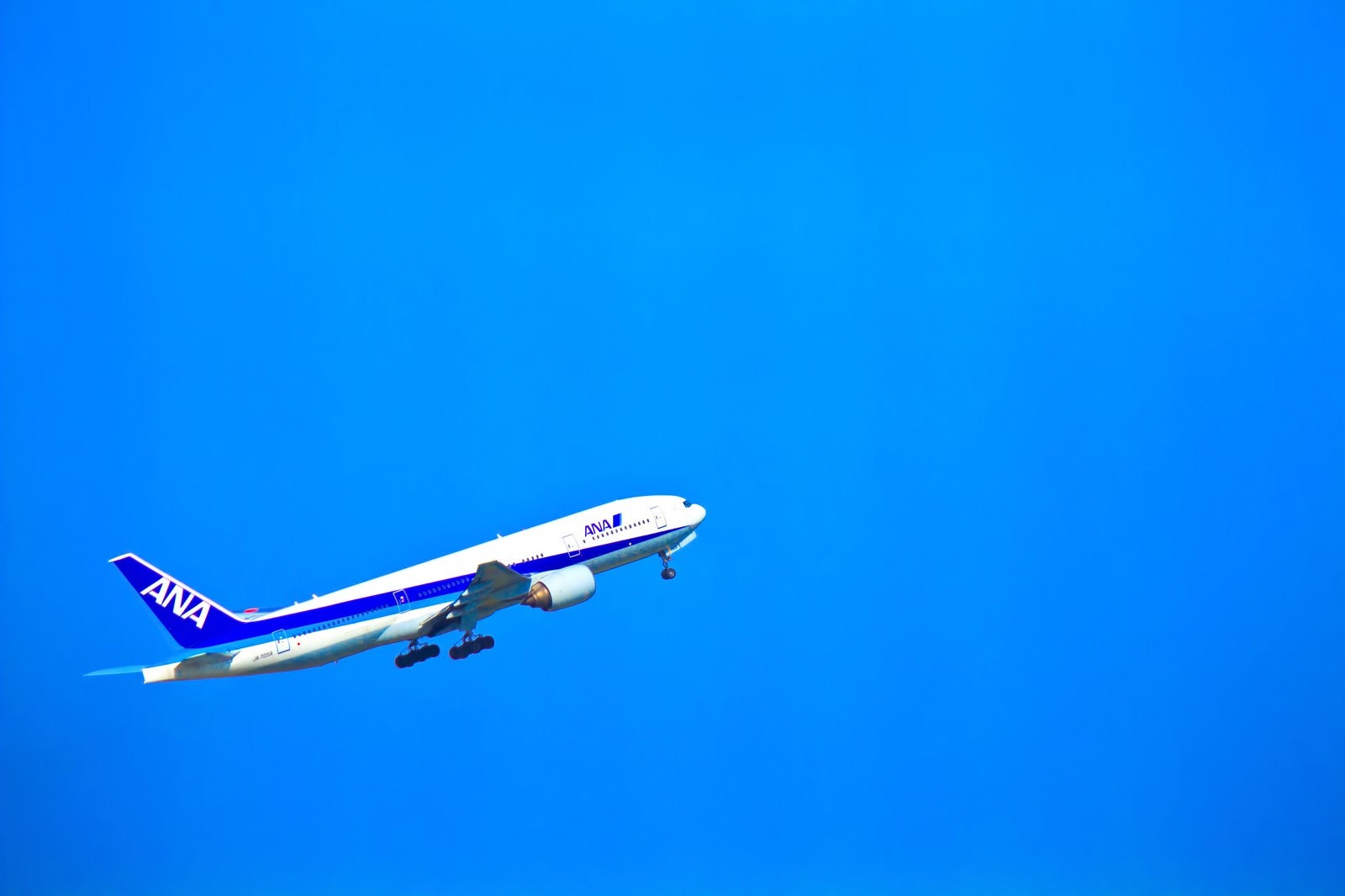 「飛び立つ飛行機」の写真