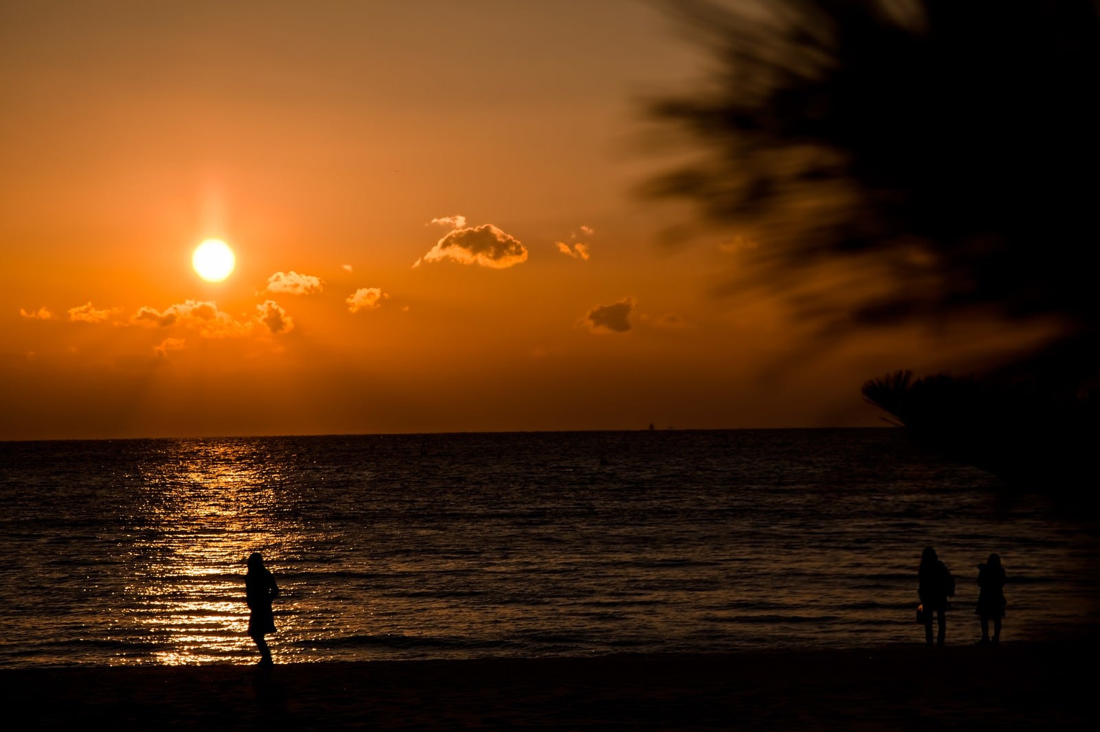 「夕焼けの浜辺」の写真