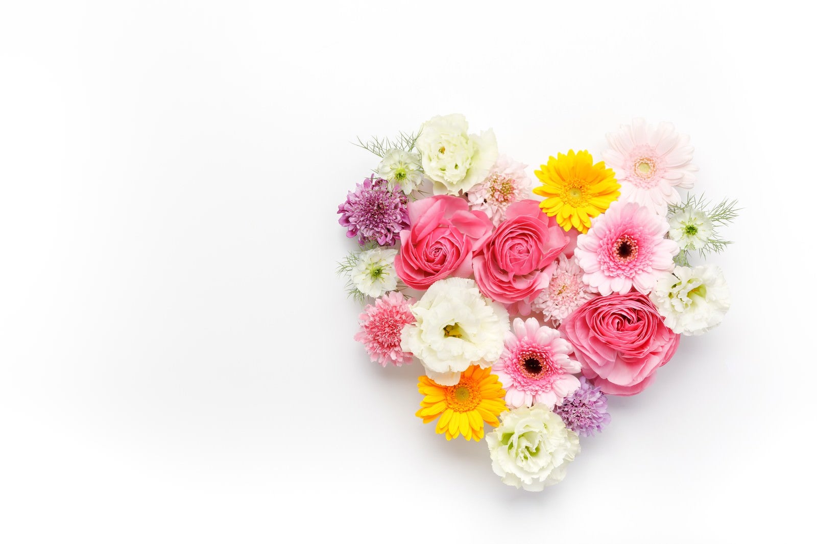 「ハート型の花で愛情表現」の写真