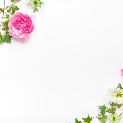 ピンクの薔薇と緑のアイビーで囲んだフレームの写真