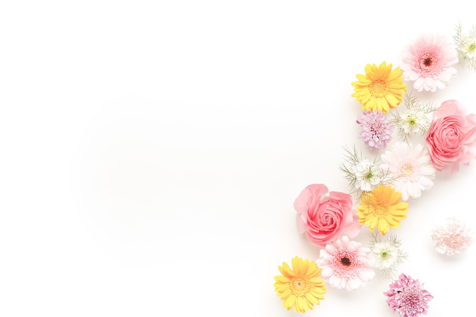 「メッセージが入れやすい花の背景」の写真