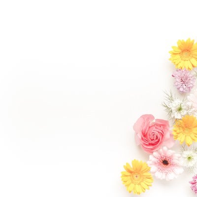 メッセージが入れやすい花の背景の写真