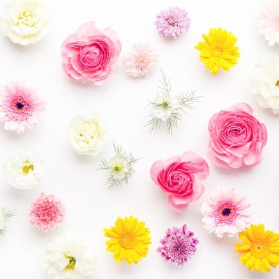 お花いっぱい春色テクスチャー（マット）の写真
