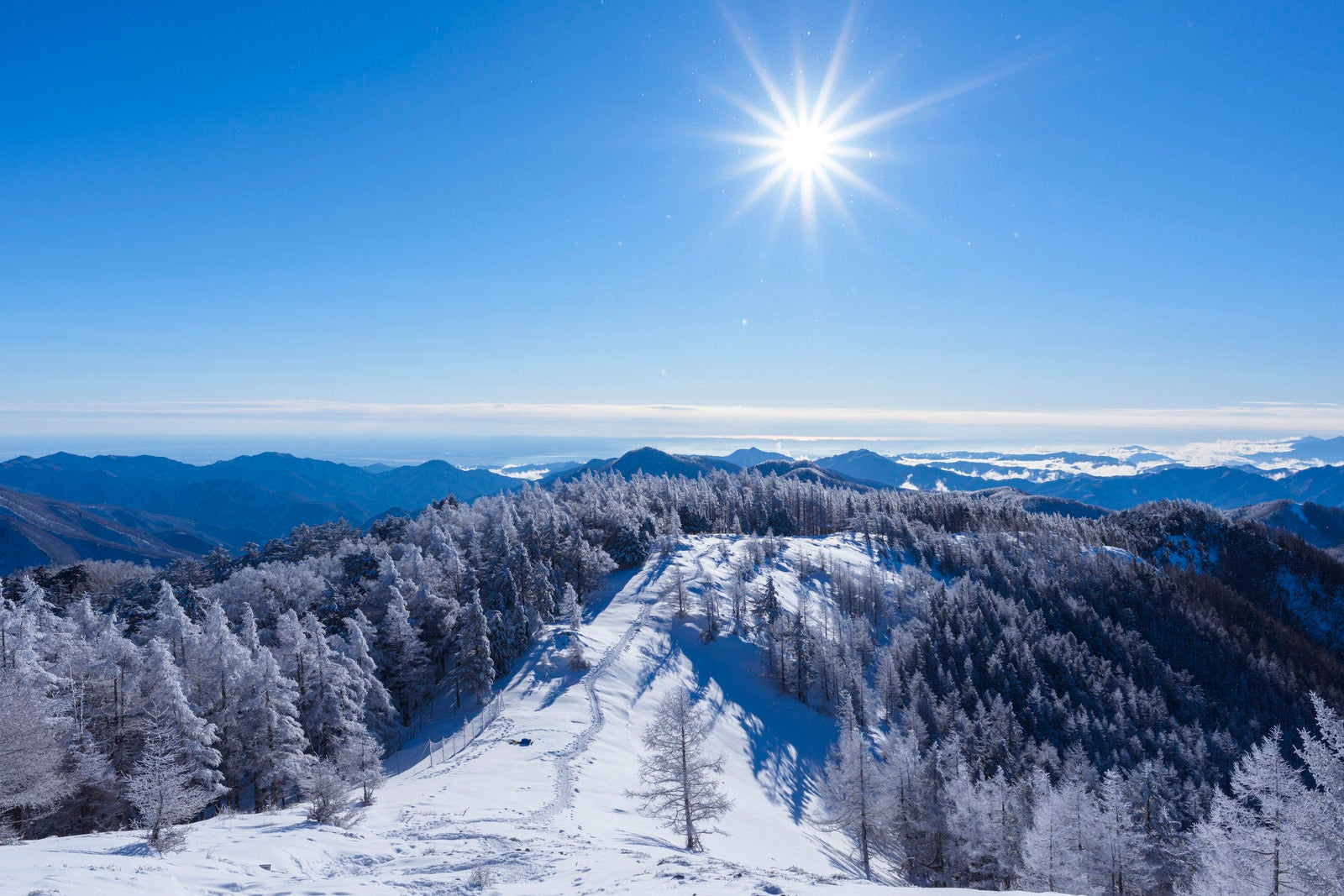 「太陽に照らされる雲取山稜線」の写真