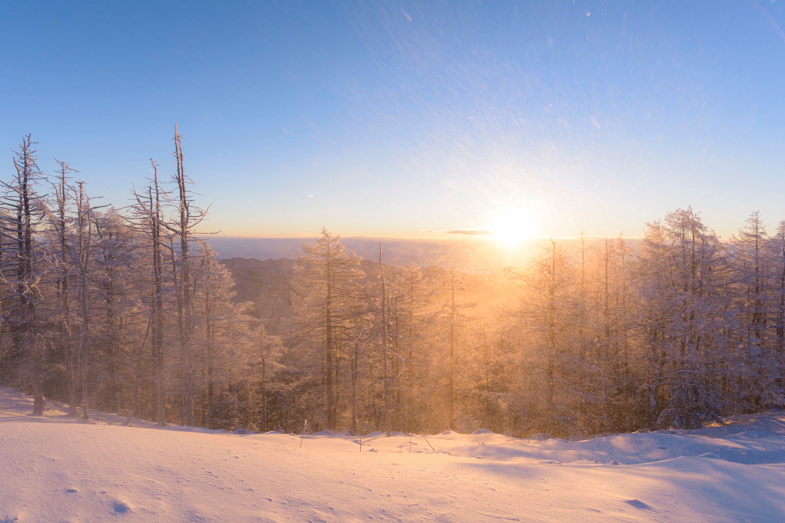 「拭きあがる雪と朝焼け（雲取山）」の写真