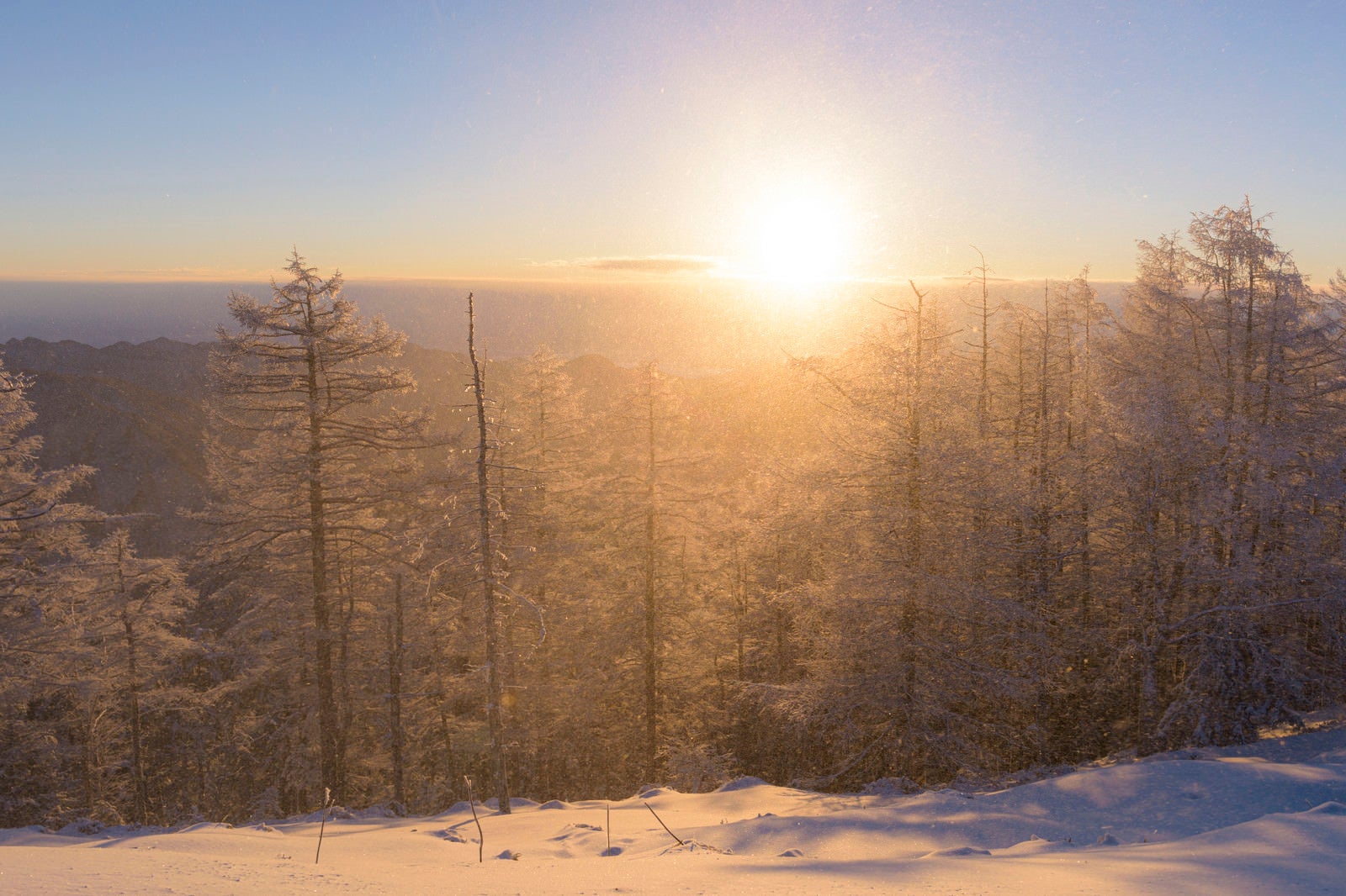 「暖かい光差す雲取山山頂」の写真
