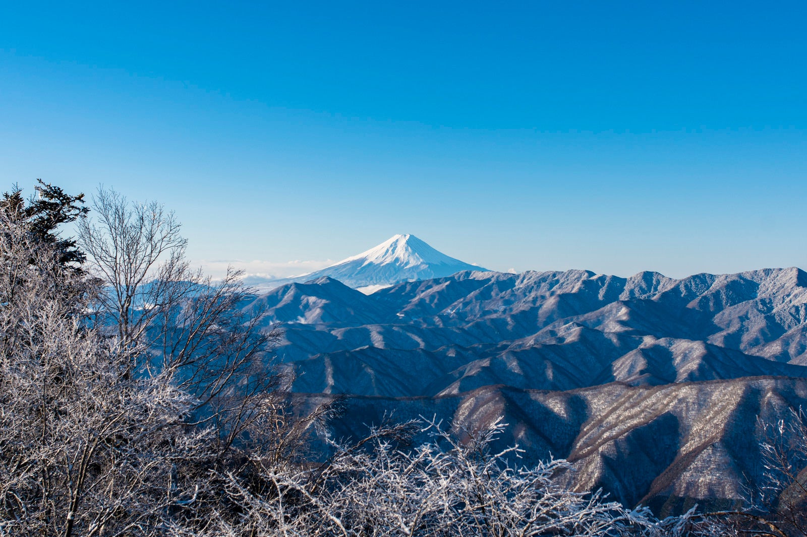 「朝日に輝く富士山（雲取山）」の写真