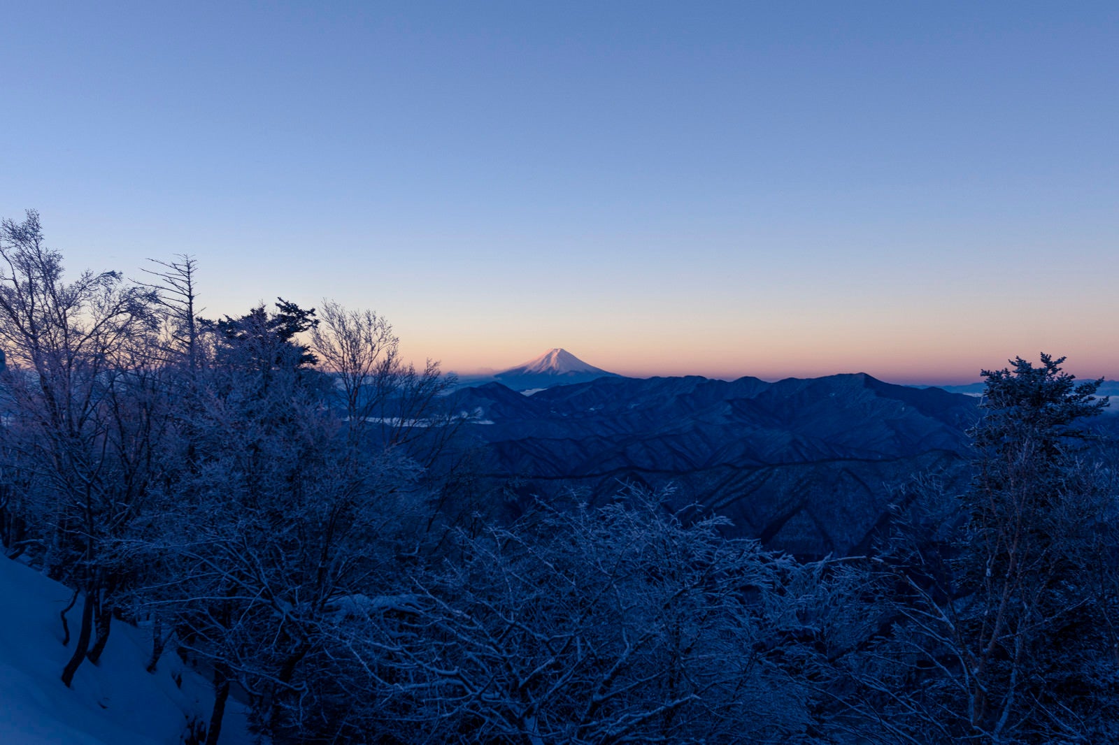「朝日を待つ富士山（雲取山）」の写真