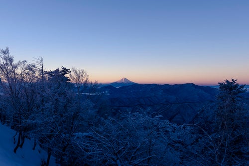 朝日を待つ富士山（雲取山）の写真