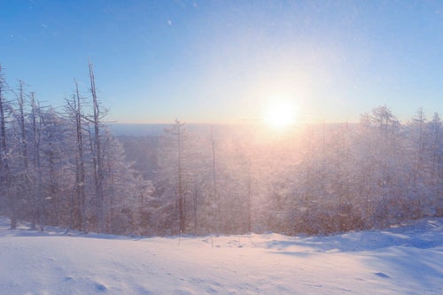 激しい雪煙と陽光（雲取山）の写真