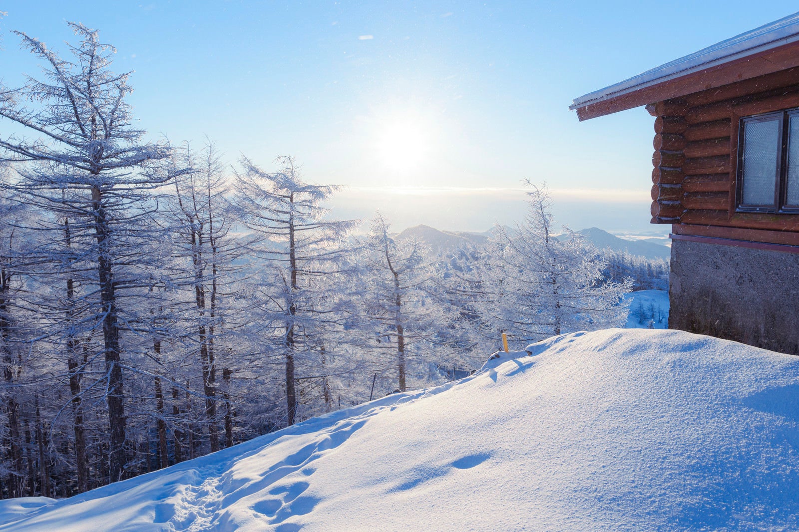 「雲取山避難小屋と霧氷」の写真