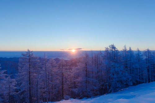 霧氷の木々と登りゆく太陽（雲取山）の写真
