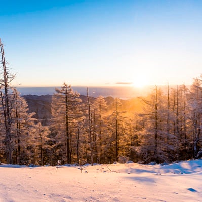 黄金色の朝日と雪景色（雲取山）の写真