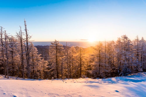 黄金色の朝日と雪景色（雲取山）の写真