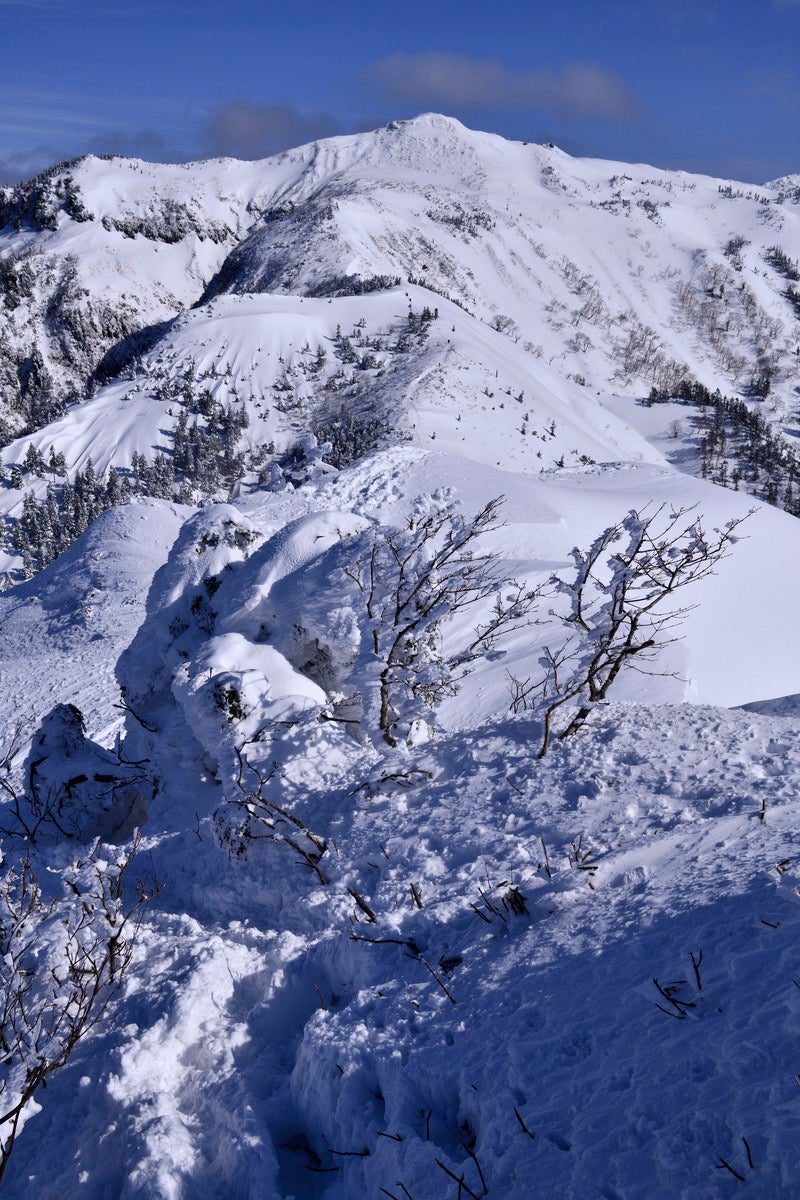 「樹氷と上州武尊山（じょうしゅうほたかやま）」の写真