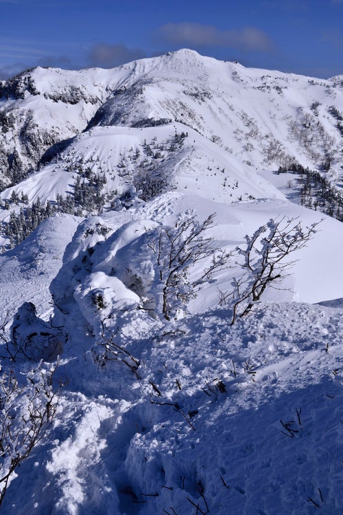 樹氷と上州武尊山（じょうしゅうほたかやま）の写真