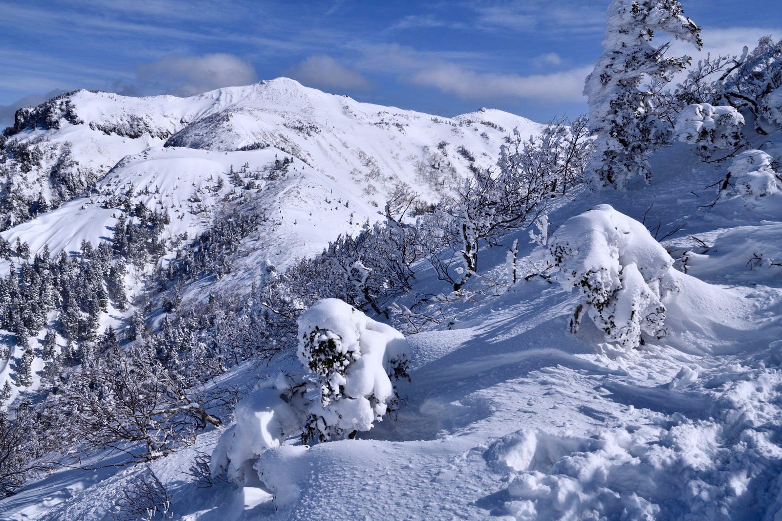 「樹氷と雪化粧した上州武尊山（じょうしゅうほたかやま）」の写真
