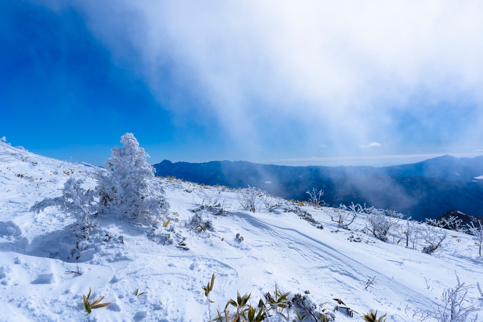 「雪原が広がる稜線（上州武尊山）」の写真