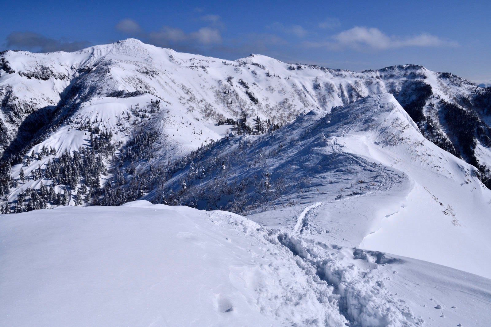 「積雪の登山道に残るトレース（上州武尊山）」の写真