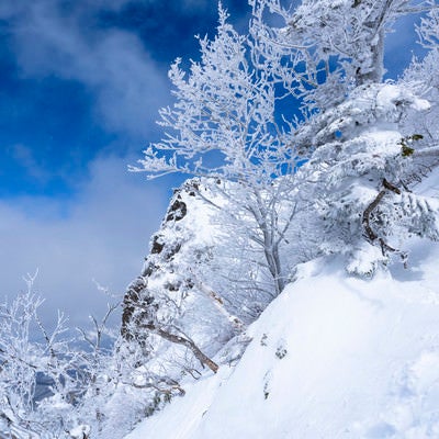 霧氷生い茂る上州武尊山（じょうしゅうほたかやま）の写真