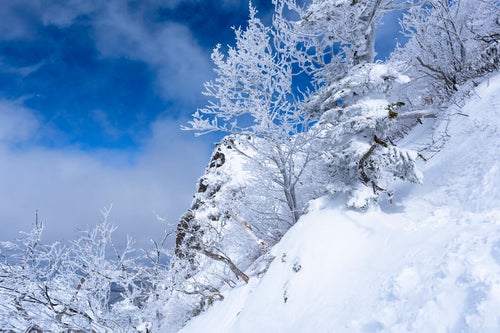 霧氷生い茂る上州武尊山（じょうしゅうほたかやま）の写真