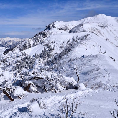 雪化粧した上州武尊山と足跡の写真