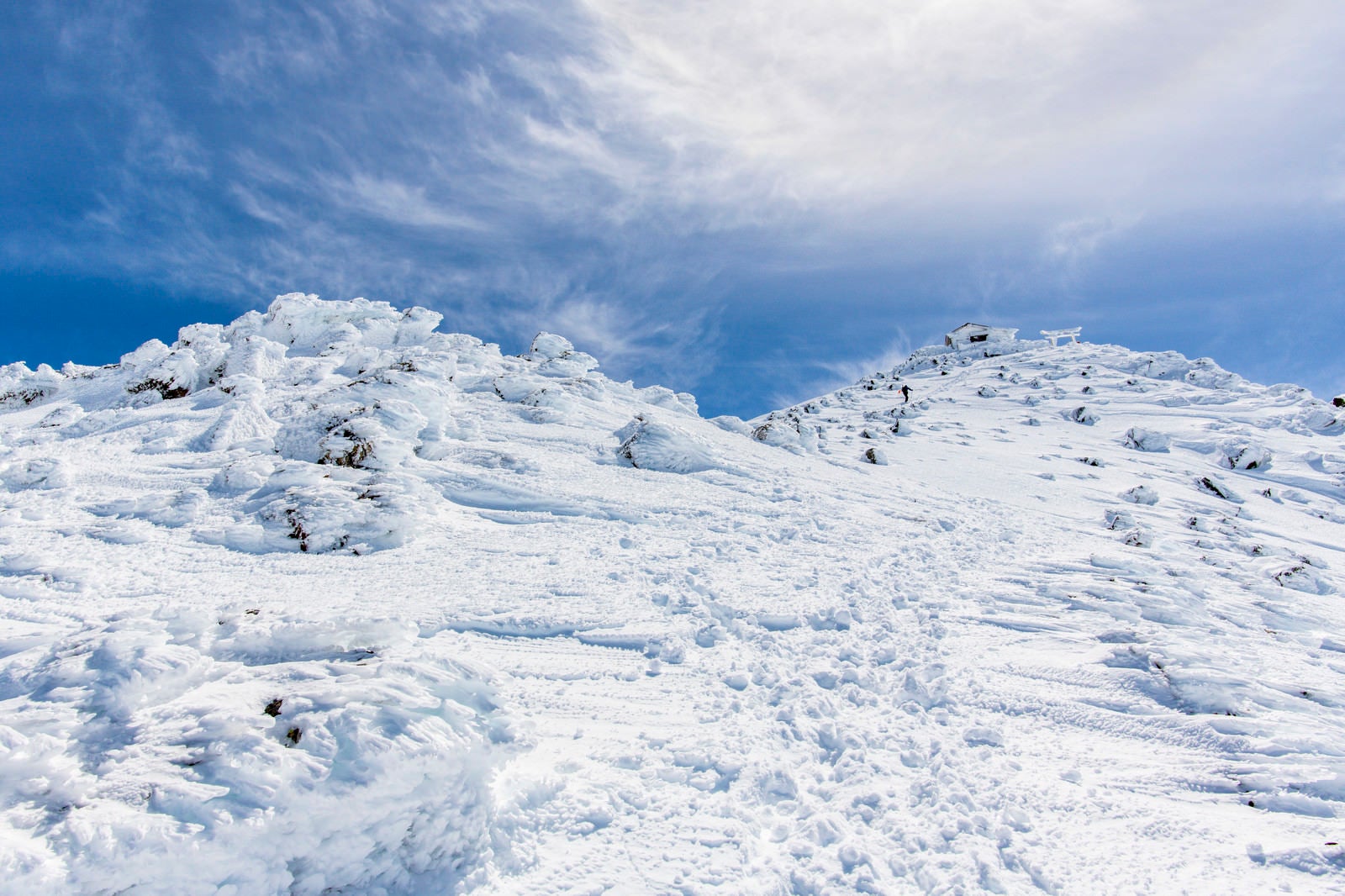 「風雪で発達したエビの尻尾と乗鞍岳山頂」の写真