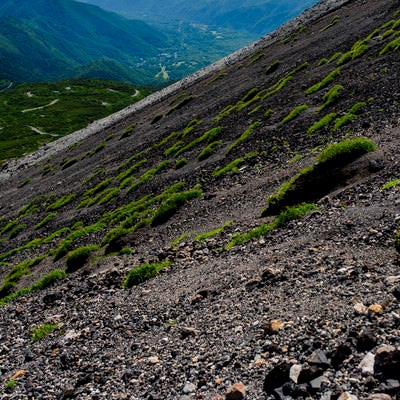 高山植物も少ない乗鞍岳の斜面の写真