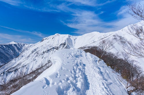 新雪の中につけられたトレース（谷川岳）の写真