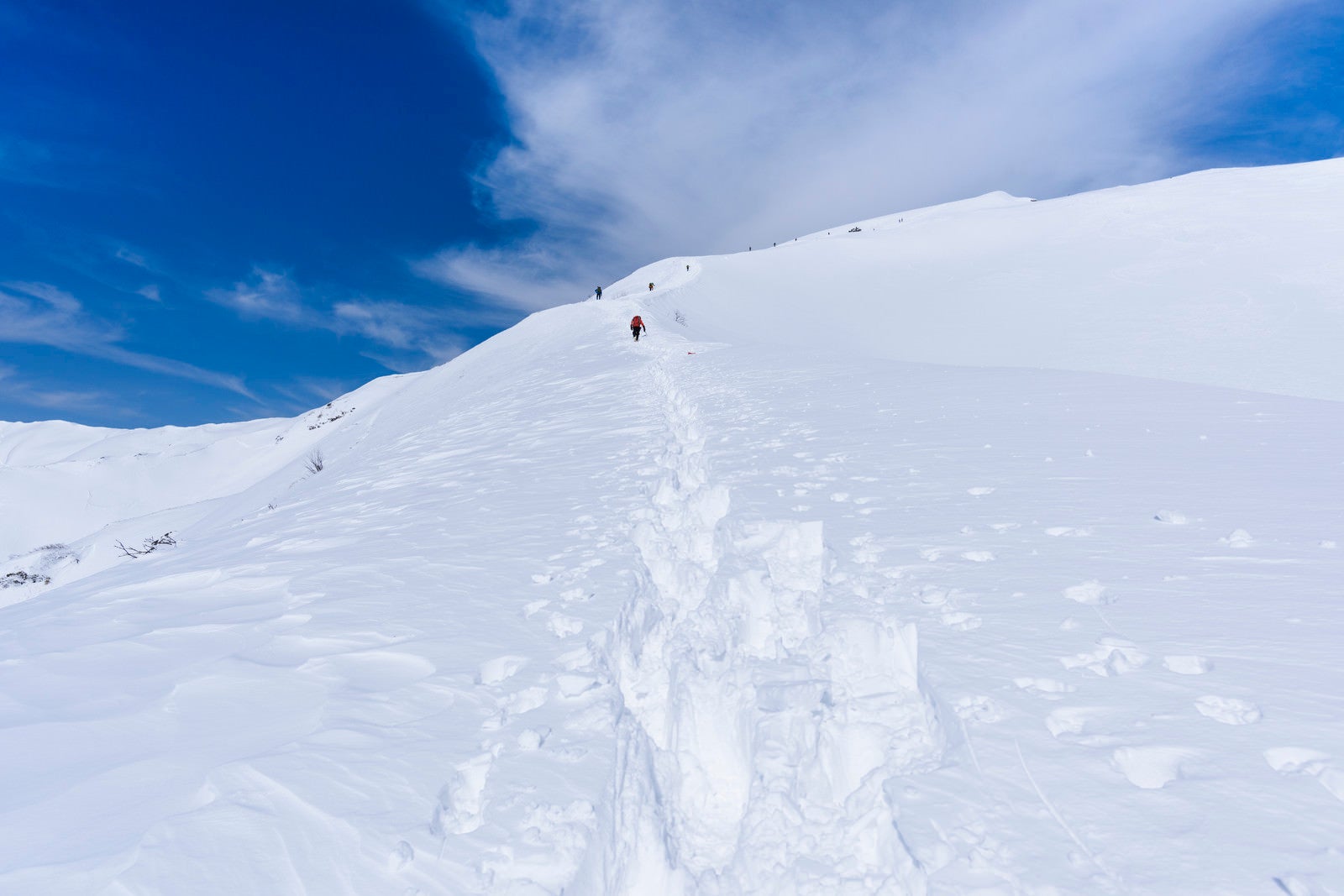 「新雪の中を歩く登山者たち（谷川岳）」の写真
